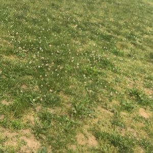 Meet your Posher, Alicea